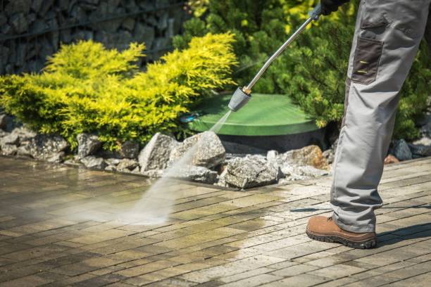 Best Roof Washing  in New River, AZ